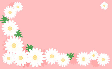白いマーガレットのL字フレーム ピンク背景 イラスト素材 色違い・差分有