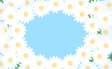 白いマーガレットの楕円形フレーム ライトブルー背景 イラスト素材 色違い・差分有