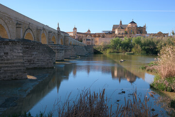 General view of the cathedral-mosque of Cordoba and the Roman bridge