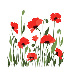 Fototapeta premium Vector flat illustration of a hand-drawn cute summer meadow with flowers with red poppies. Isolated on a white background.