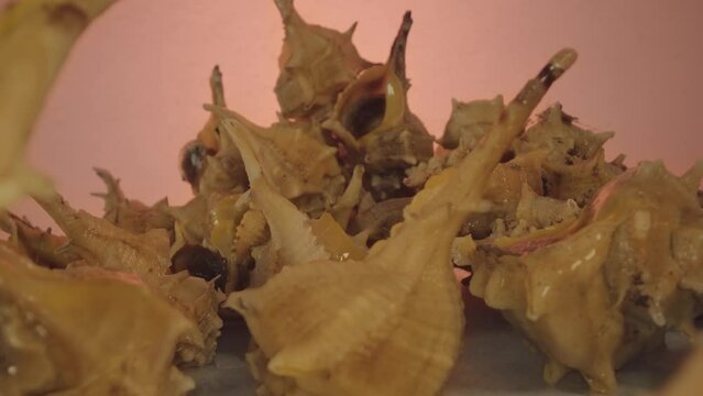 Murici wet in marine shells
