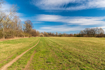 Fototapeta na wymiar Early springtime meadow with footpath and trees around in CHKO Poodri in Czech republic