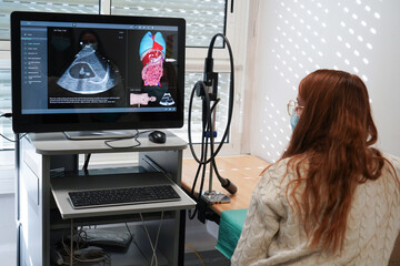 Students and their teacher during an echography simulation workshop on a robot mannequin.