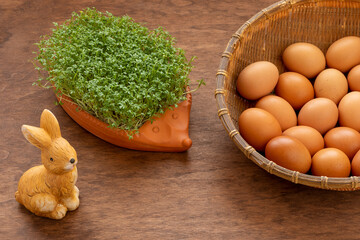 Garden cress plant (Lepidium sativum) in decorative clay hedgehog shape pot and boiled Easter eggs. © Fotema