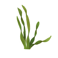 Green underwater algae. Watercolor illustration of marine plants. Long swirling algae. Cartoon style. Collection Island. The drawing is suitable for compositions, design, postcards, zoo