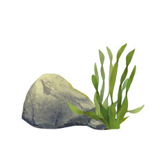 Composition with large sea stone and algae. Watercolor illustration of marine fauna. Gray rock in the ocean. Cartoon style. Collection Island. The drawing is suitable for design, packaging