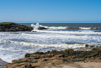 Fototapeta na wymiar Waves breaking along the California coastline