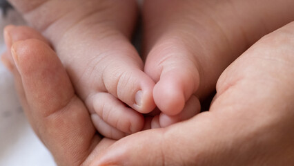 Tiny feet the of a newborn baby in the mother's palms.  Mom holds a newborn baby's feet in her hands. Close-up of a newborn baby's feet. Mother loves her baby. The concept of motherhood and parenthood