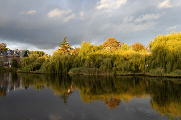 Beautiful Pond at Vondelpark with Colorful Trees and Reflections during Autumn in Amsterdam South