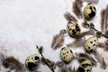 Easter background with quail eggs, feathers and catkins on light background with copy space for your tekst. Easter card.