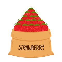 Strawberry in burlap sack isolated on white background, garden summer fruit, strawberry.