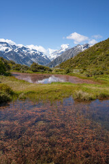 Fototapeta na wymiar 【ニュージーランド】マウントクック・Red tarns trail