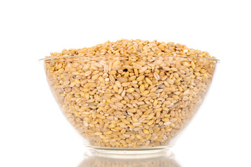 Pearl barley in glass bowl, macro, isolated on white background.