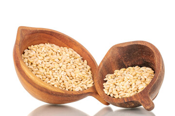 Pearl barley in two wooden cups, macro, isolated on white background.