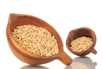 Pearl barley in two wooden cups, macro, isolated on white background.