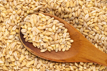 Pearl groats with a wooden spoon, macro, top view.