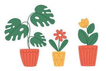 Obraz premium Set of indoor plants in modern pots in flat style