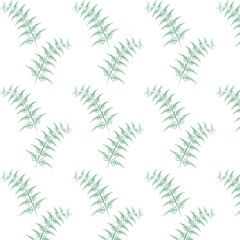 seamless pattern with leaves watercolor green fern branch on white background vector image