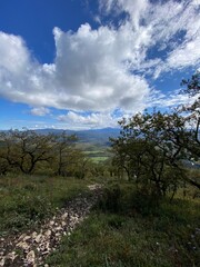 Obraz premium Landscape of a mountainous area with green slopes, trees, spring flowers and a blue sky with white clouds.