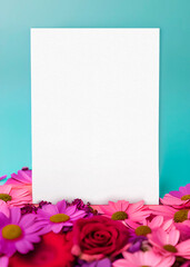 poster on turquoise background with red roses and pink gerberas