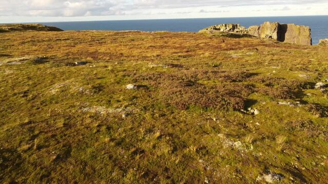 Aerial over mossy tundra along the East Coast of Canada near Spillars Cove Newfoundland.
