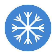 Round snowflake icon. Winter and ice crystal. Vector.
