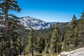 Tioga Pass Tuolumne Meadows Granite Rock