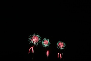夜空を彩る花火