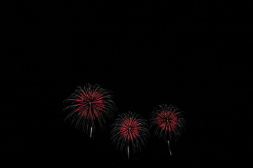 夜空を彩る花火大会