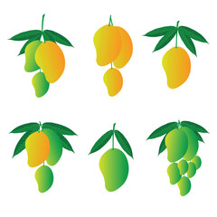 Mango Fruit set