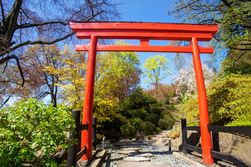 Torii gate in red color and Japanese garden behind  in Kaiserslautern