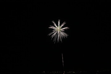 Fototapeta premium 夜を照らす花火