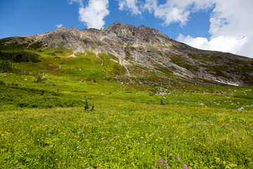 Fototapeta premium Skagway Town Upper Dewey Lake Landscape In Summer