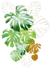 Foto auf Alu-Dibond Monstera Tropical watercolor monstera leaves. Summer print ideas. Summer card