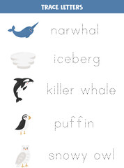 Trace the names of cute arctic animals. Handwriting practice for preschool kids.