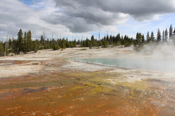 Geysers and Hot Springs of yellowstone