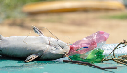 garbage in a dead fish mouth visual representation of the devastating impact of plastic pollution in ocean, waterway, sea habitat and marine life, waste management can protect the environment