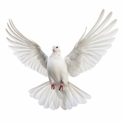 Holy Spirit white dove with open wings in white background Generative AI Illustration