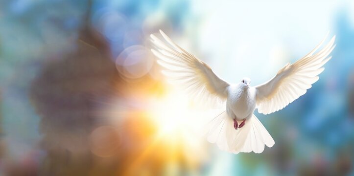 Holy Spirit dove flying with open wings with blurred background and sunlight ray effects Generative AI Illustration