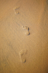 Child footprints in the sand on a beach
