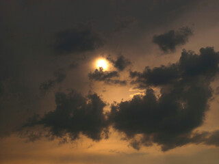 Fototapeta premium OLYMPUS DIGITAL CAMERA