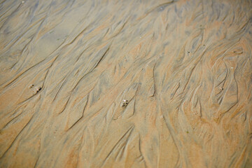 Wet sand during low tide in Normandy, France