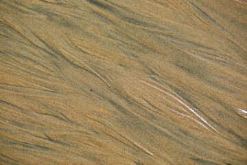 Wet sand during low tide in Normandy, France