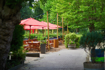 Fototapeta premium Cozy outdoor cafe in Vondelpark in Amsterdam, Netherlands