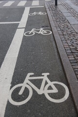 Carril bici