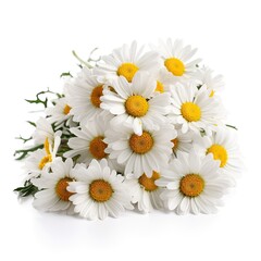 Fresh and delicate daisy bouquet with vibrant colors, isolated on white. Aesthetic and elegant floral composition. Generative AI