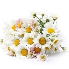 Obraz premium Fresh and delicate daisy bouquet with vibrant colors, isolated on white. Aesthetic and elegant floral composition. Generative AI