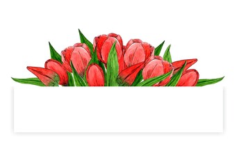 Frame from red tulips on white background. Hand draw flowers watercolor sketches. Template for packaging, label, card, design. Botanical illustration.
