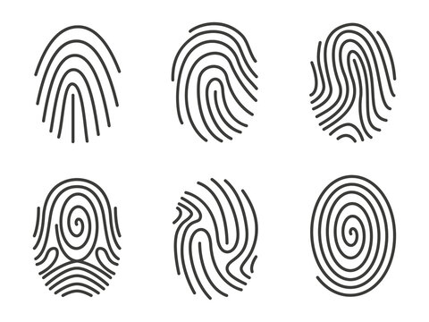 Hand drawn fingerprints collection. Illustration on transparent background