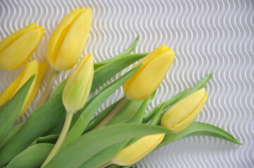 yellow tulips on a white surface